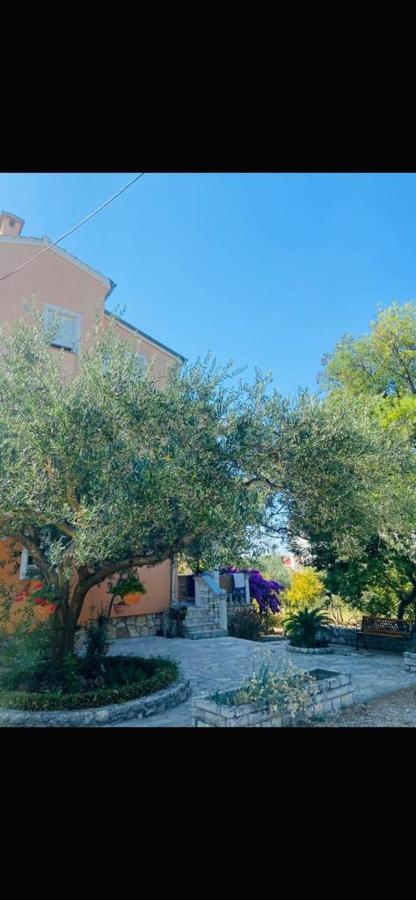 Apartman Nauplie Zadar Zewnętrze zdjęcie